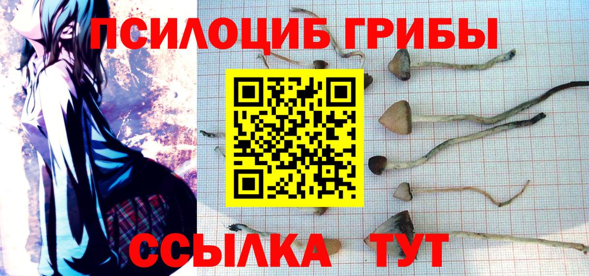 Псилоцибиновые грибы прущие грибы  Псилоцибиновые грибы Psilocybe  Рославль  Вход с VPN 