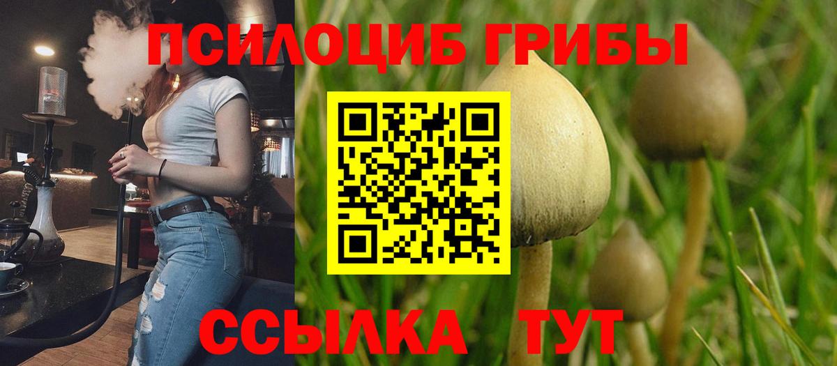 Галлюциногенные грибы мицелий Рославль
